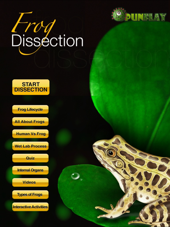 Frog Dissection Screenshot 0
