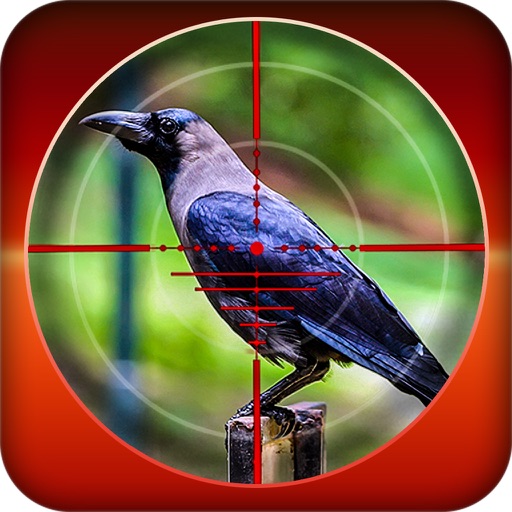 Forest Crow Hunting icon