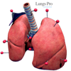 LungsProAnimated