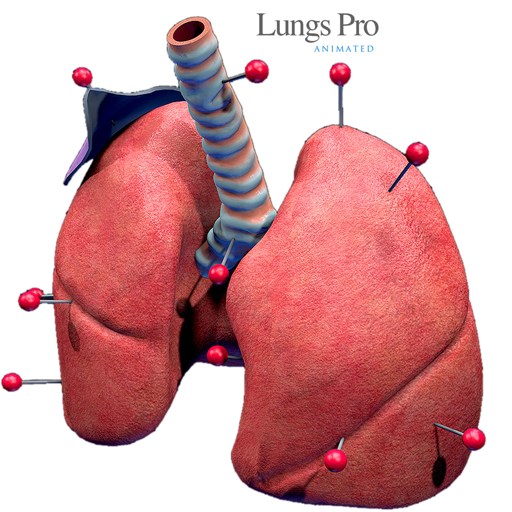LungsProAnimated