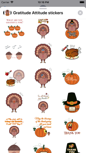 Thanksgiving Gratitude sticker(圖1)-速報App