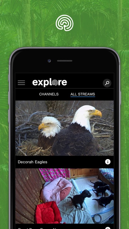 explore.org