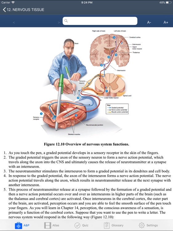 Anatomy and Physiology screenshot-3