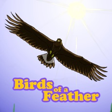 Activities of Birds Of A Feather Scorekeeper