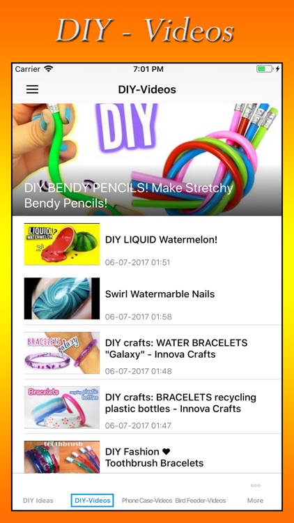 DIY Ideas And Videos screenshot-3