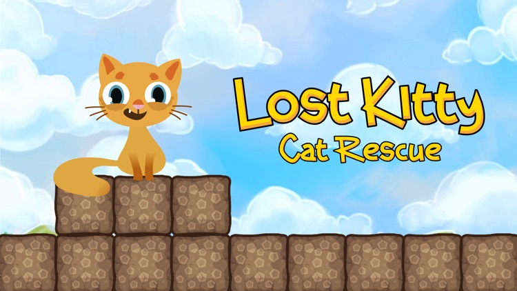 Lost Kitty Cat Rescue