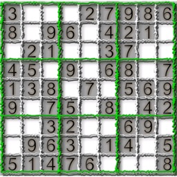 Sudoku (special)