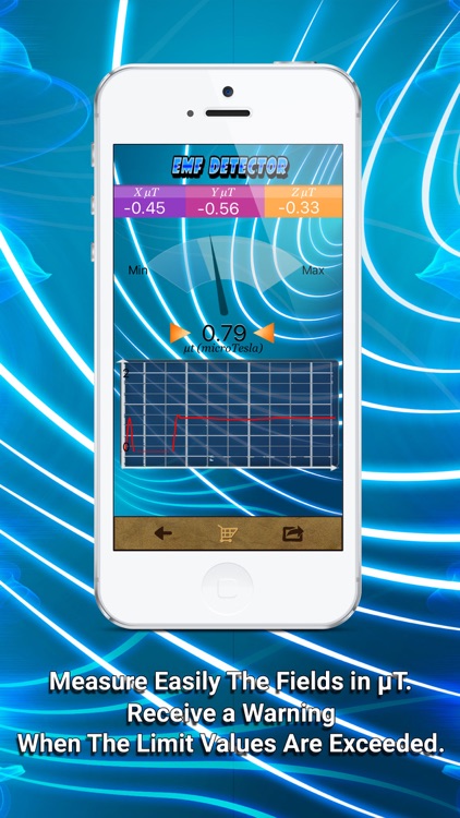 Electromagnetic Detector EMF