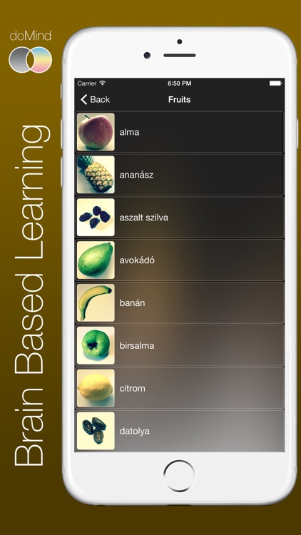 doMind HU - Hungarian Language Words Teacher screenshot-4
