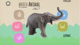 Game screenshot Who am I? Discover Wildlife apk