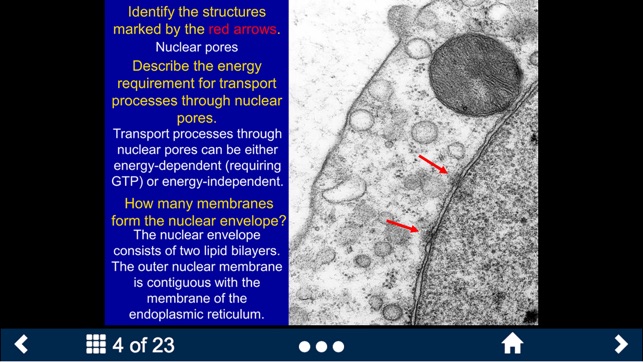 Histology - Basic Tissues(圖3)-速報App