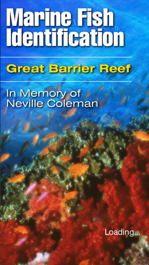 Marine Fish Great Barrier Reef