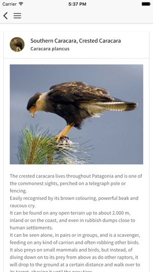 Birds of Patagonia(圖4)-速報App