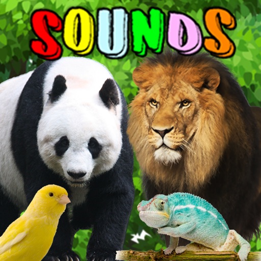 Animal Sounds : Flashcards icon
