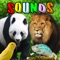 The perfect learning animal sounds for your toddler and kids
