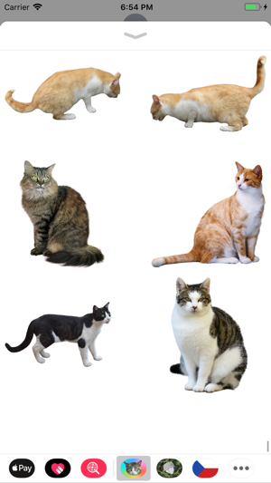 Cat Stickers Meow(圖8)-速報App