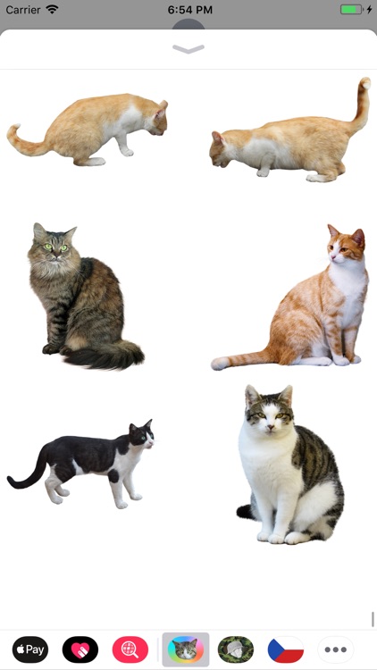 Cat Stickers Meow screenshot-7