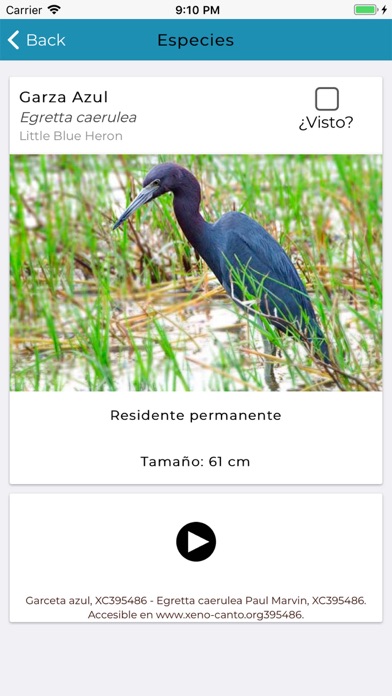 Aves de Cozumel screenshot 3