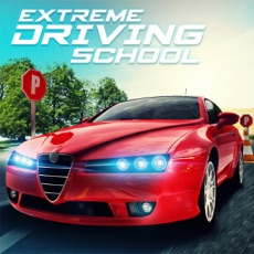 Activities of Car Driving School Academy
