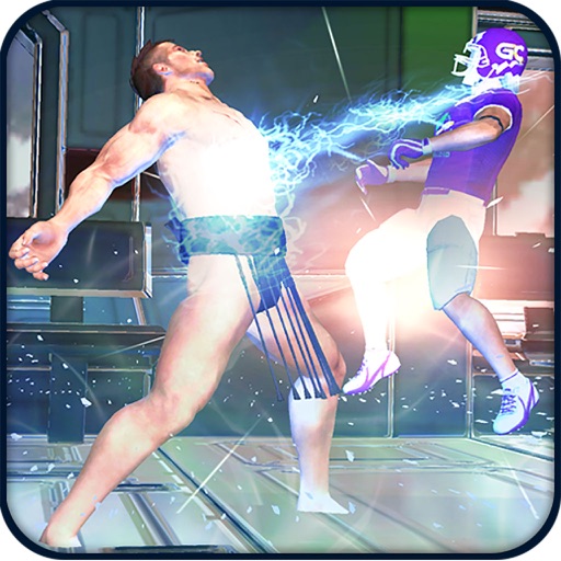 Karate Street Crime Fighter 3D Icon