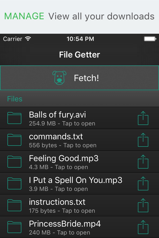 File Getter Free screenshot 4