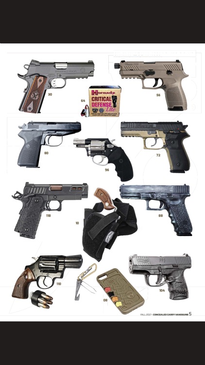 Conceal & Carry