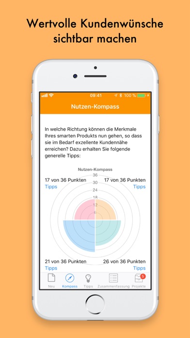 Nutzen-Kompass screenshot 3