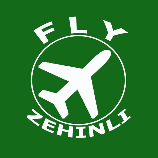Fly Zehinli
