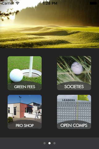 Holywood Golf Club screenshot 2