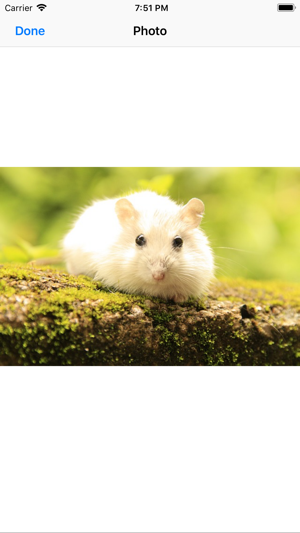 Hamster Sticker Pack(圖2)-速報App