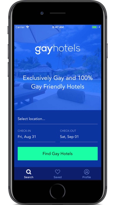 gayhotels screenshot 2