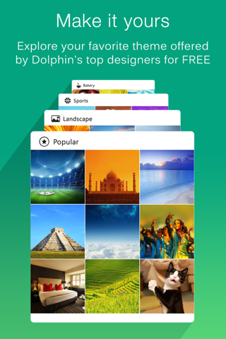 Dolphin Mobile Browser screenshot 3