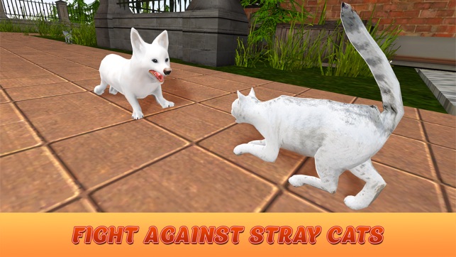 Corgi Stray Dog Simulator