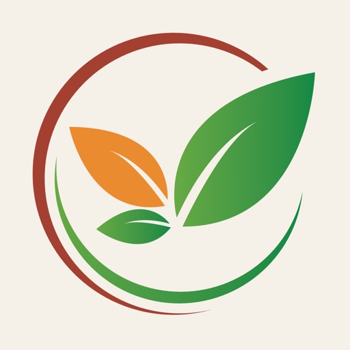 Wholesome Food Services