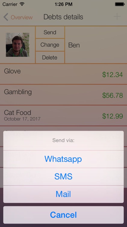 Remember Debts Lite screenshot-3