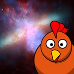 Chickens Can Fly