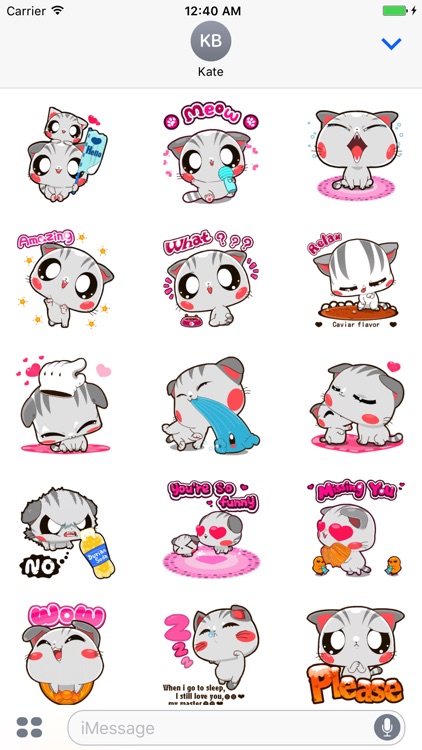 Animated Cat Kitty Stickers