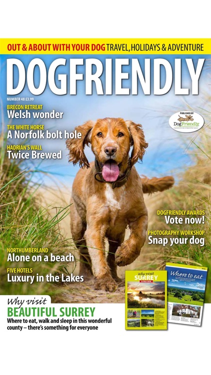 Dog Friendly Magazine