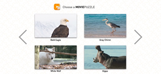 MoviePuzzles – Wild Animals(圖2)-速報App