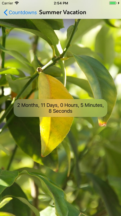 How Much Longer? screenshot-3