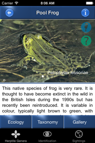 Reptile Id - UK Field Guide - náhled