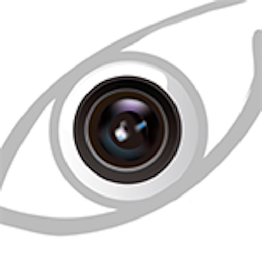 GlobalView Icon