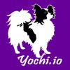 Yochi On Demand Business