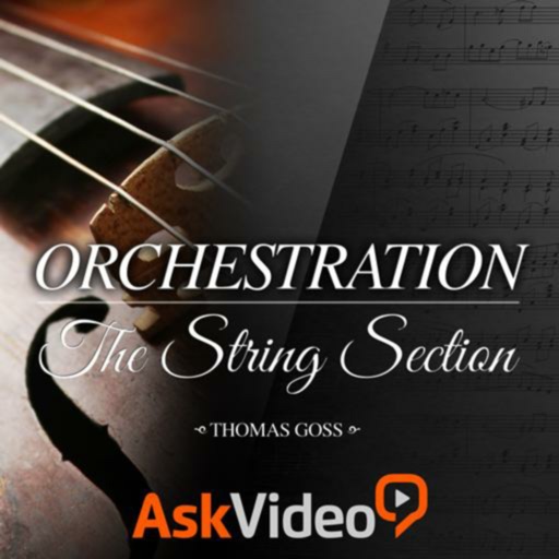 Orchestration String Section icon