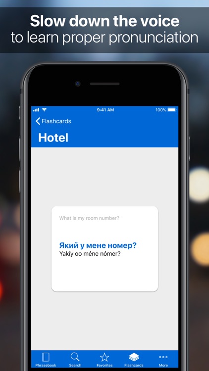 SpeakEasy Ukrainian screenshot-3