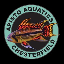 Apisto Aquatics