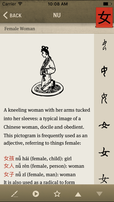 Chinagram Pocket - Chinese Writing Screenshot 3