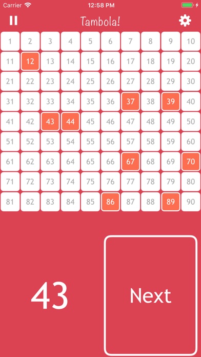 Bingo-Tambola screenshot 3