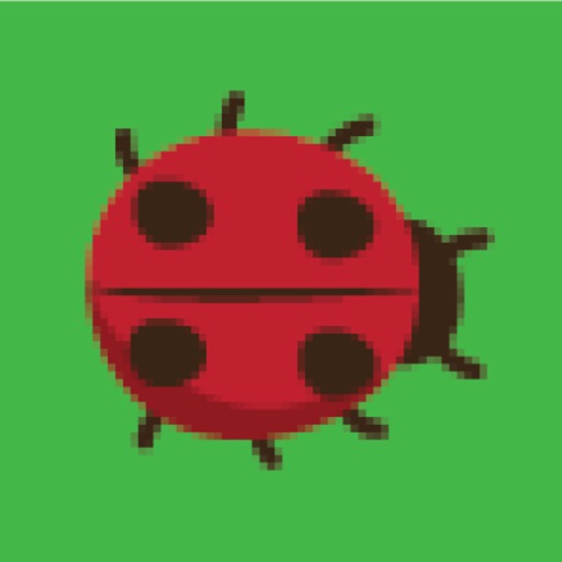 Catch Bugs Game Icon