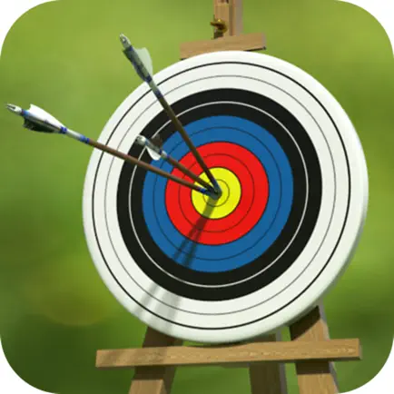 Archery Target Master Pro Cheats